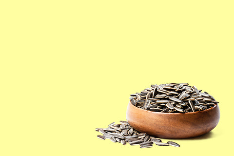 Seeds