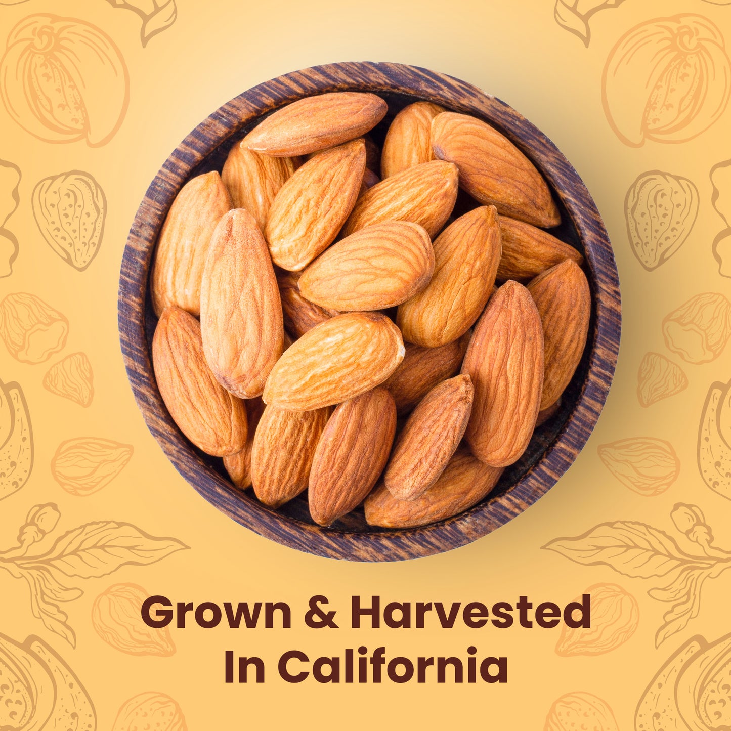 California REGULAR Almonds