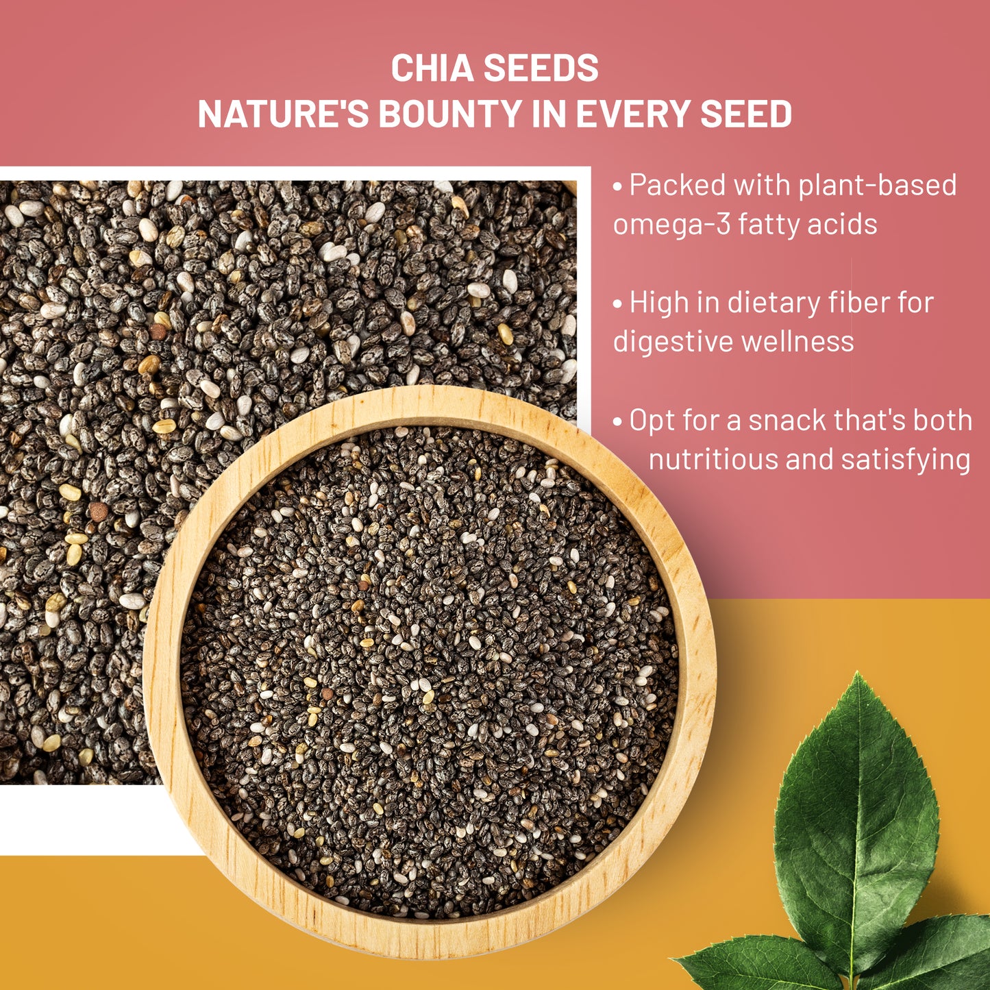 Chia Seeds - Nature's Tiny Nutrient Powerhouses
