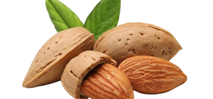 Almonds